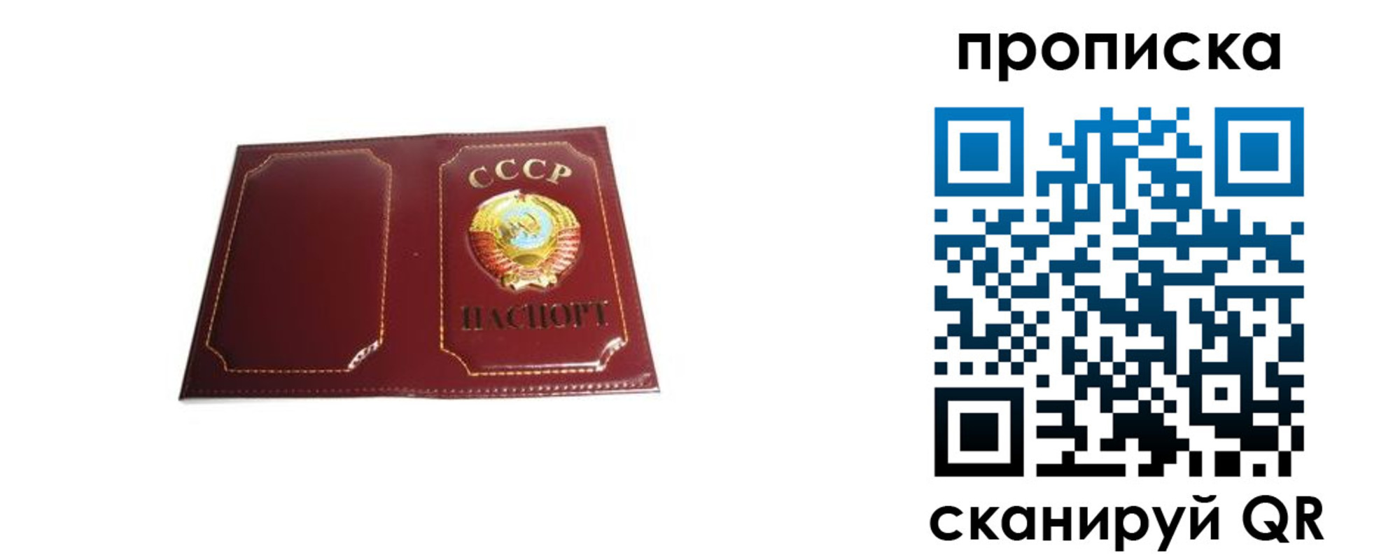 прописка гарантия в Сясьстрое